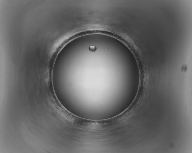 X0000111161167200906301354