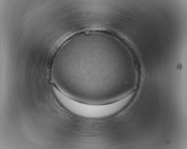 X0000111161169200906301354