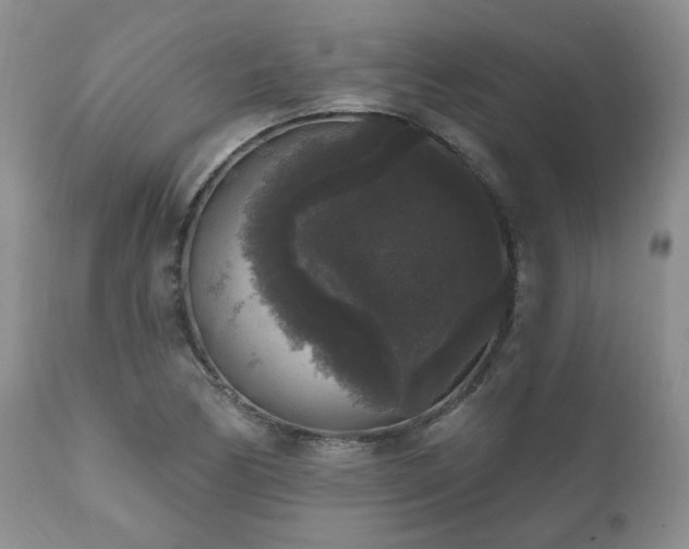 X0000111161170200906301354