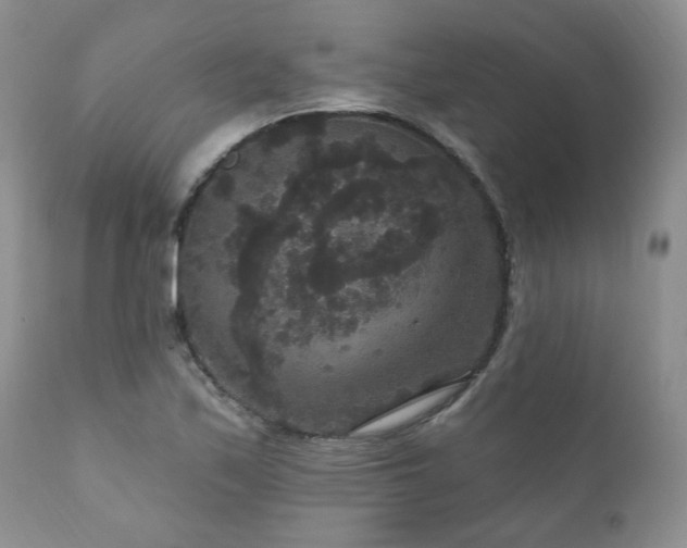 X0000111161171200906301353