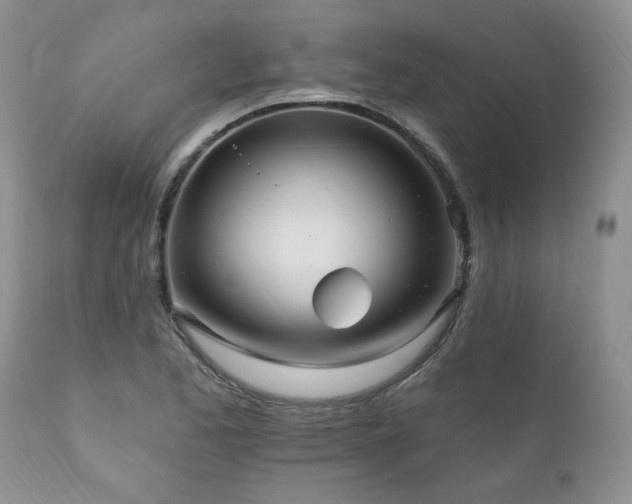 X0000111161173200906301353