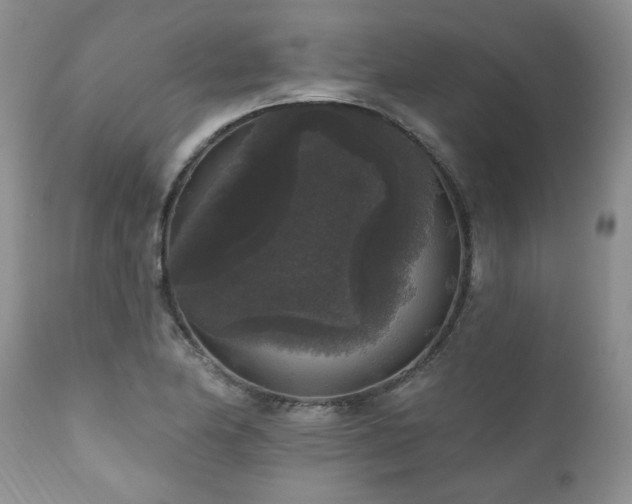 X0000111161174200906301353