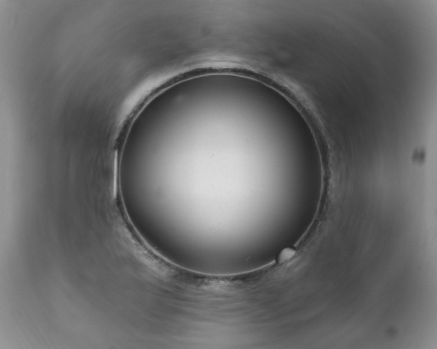X0000111161175200906301353