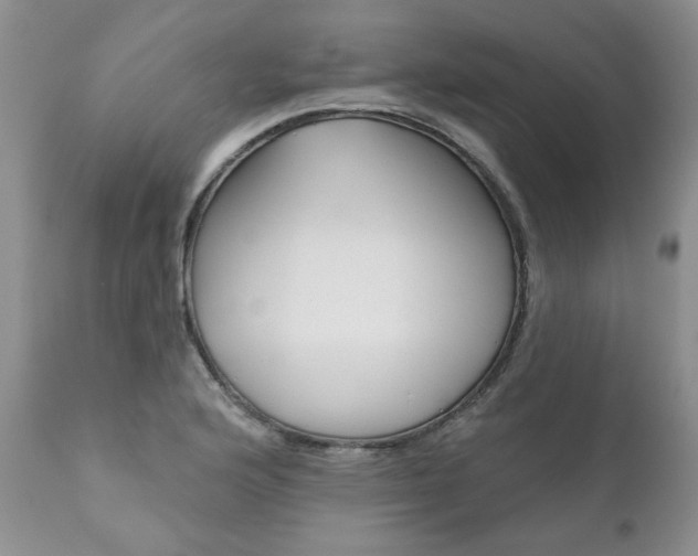 X0000111161176200906301353