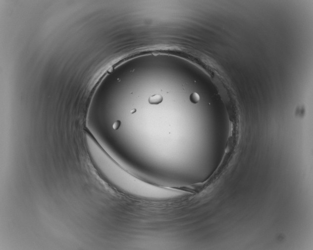X0000111161177200906301353
