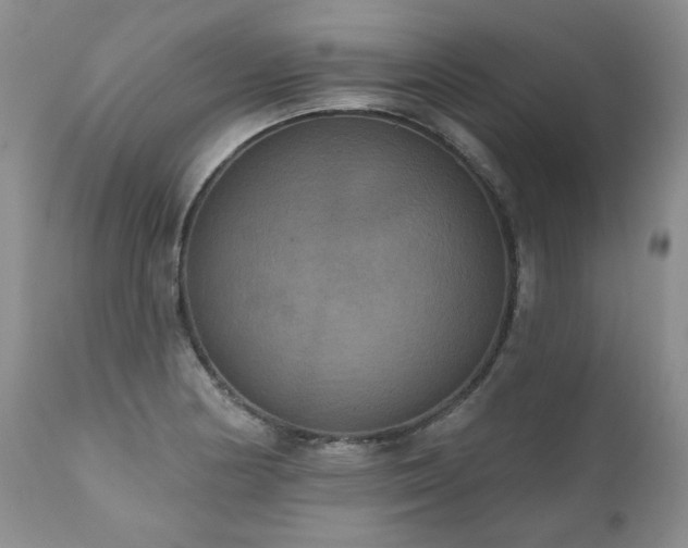 X0000111161178200906301353