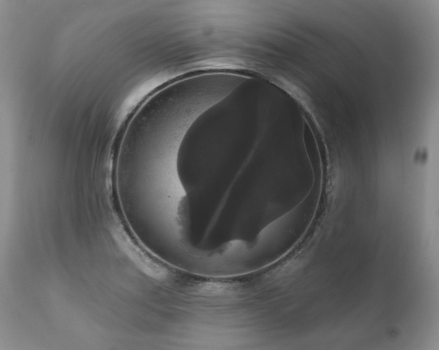 X0000111161179200906301353