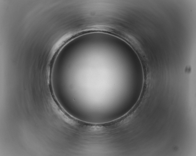 X0000111161180200906301353