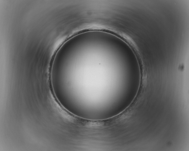 X0000111161183200906301353
