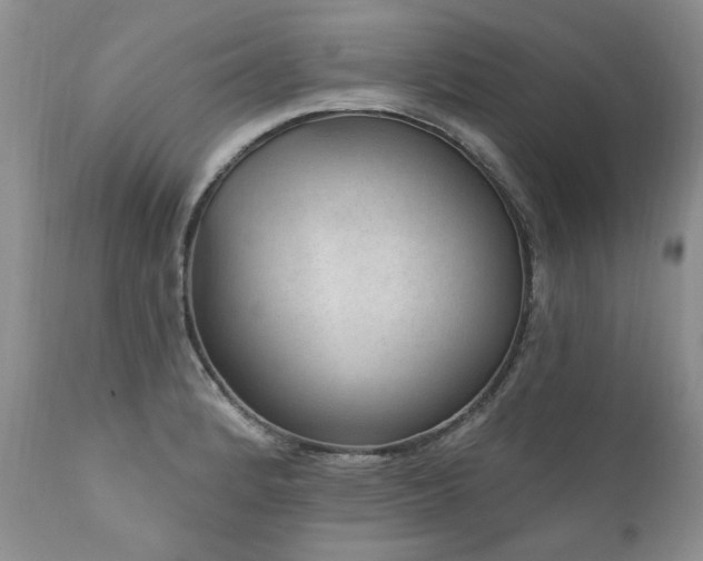 X0000111161184200906301353
