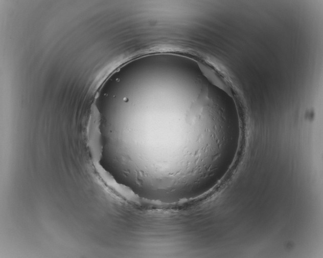 X0000111161185200906301353