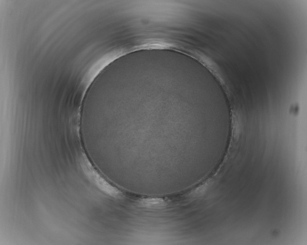 X0000111161186200906301353