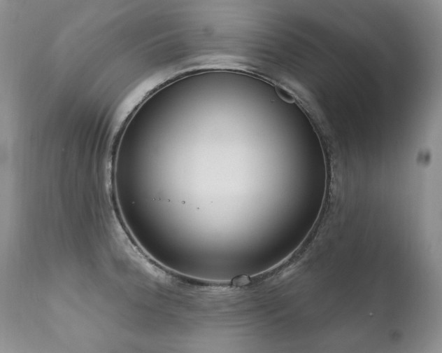 X0000111161188200906301353