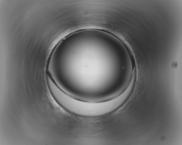X0000111161189200906301353