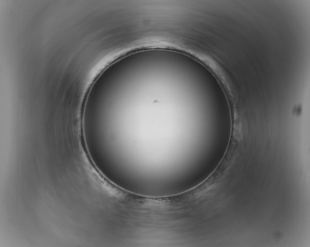 X0000111161191200906301353