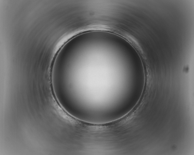 X0000111161192200906301353
