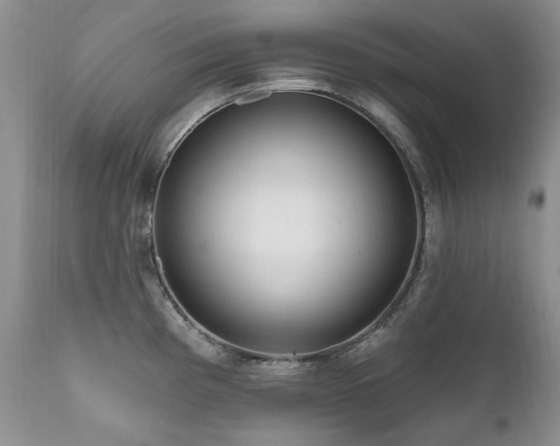 X0000111161193200906301353