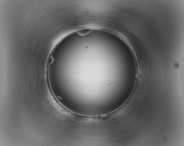 X0000111161195200906301353