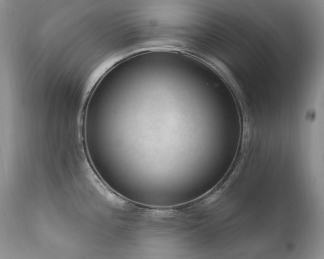 X0000111161196200906301353
