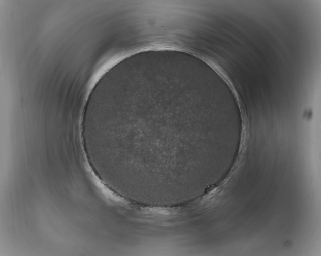 X0000111161197200906301353