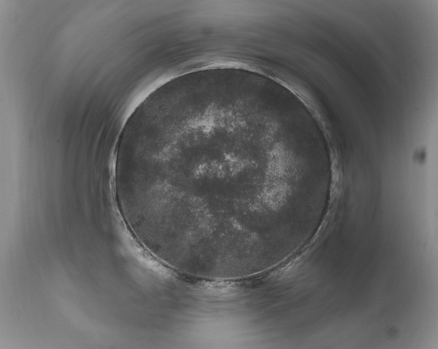 X0000111161198200906301353