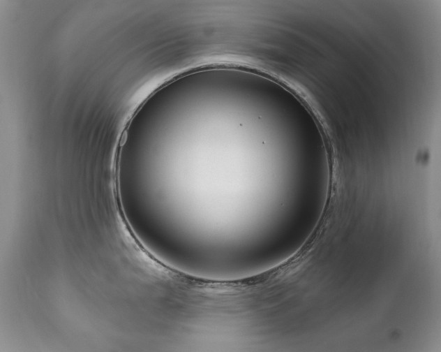 X0000111161199200906301353
