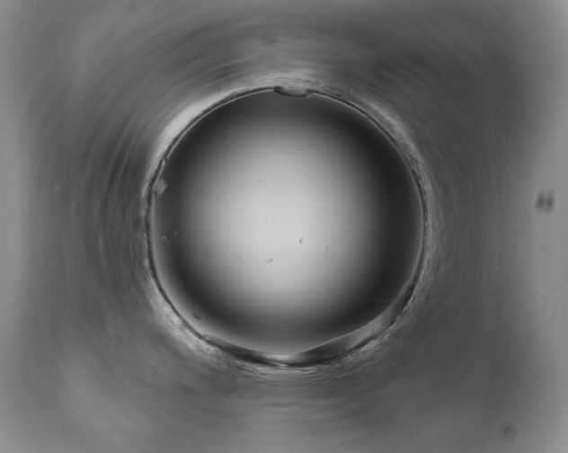 X0000111161200200906301353