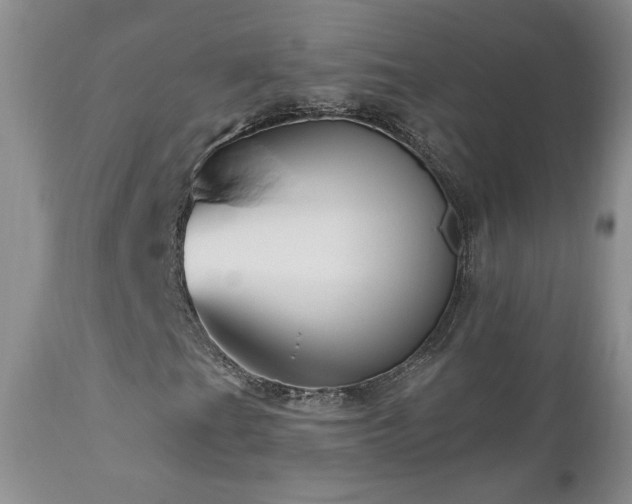 X0000111161201200906301352