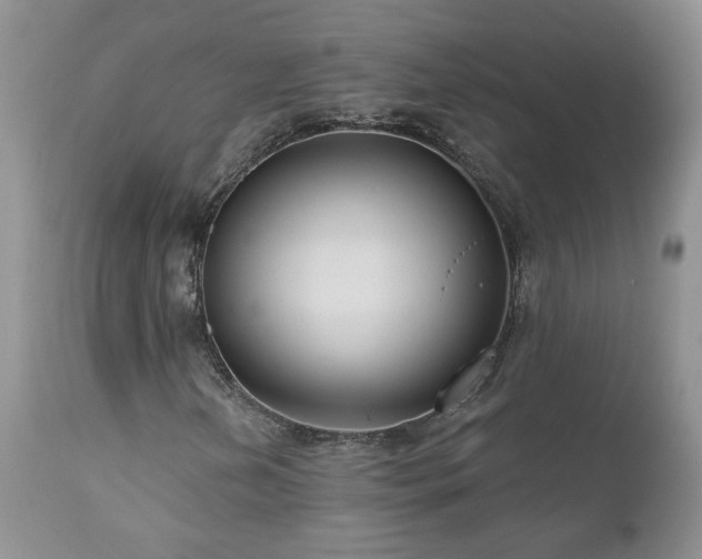 X0000111161202200906301352
