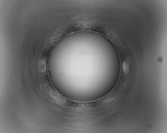 X0000111161203200906301352