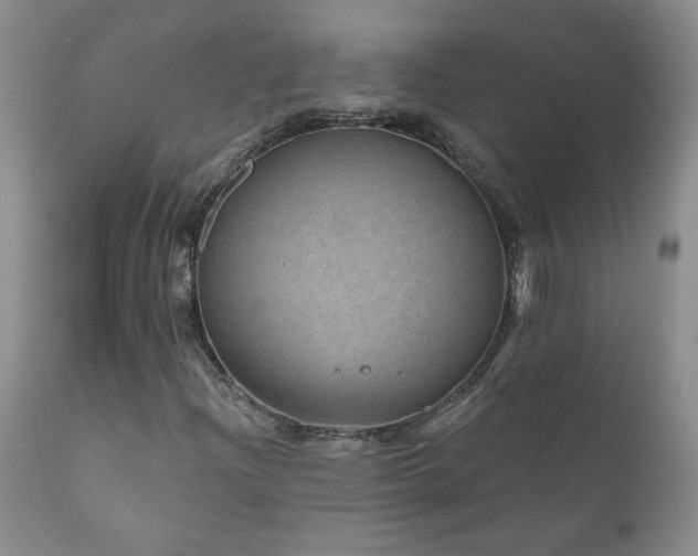 X0000111161204200906301352