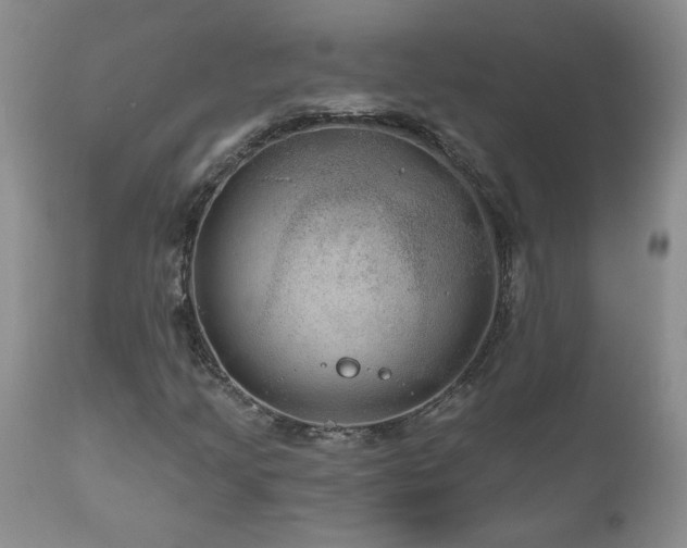 X0000111161205200906301352
