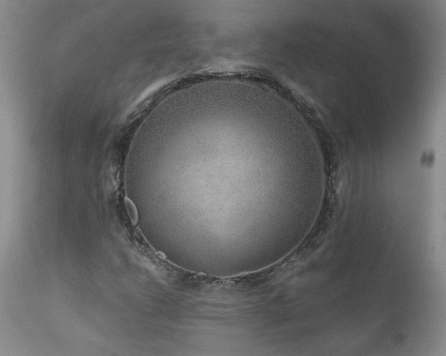 X0000111161206200906301352