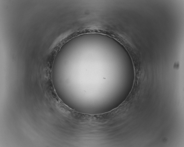X0000111161207200906301352