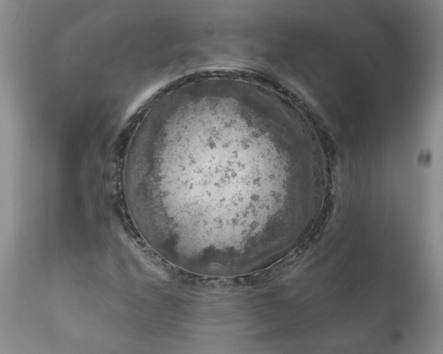 X0000111161208200906301353