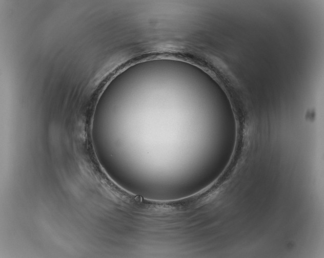 X0000111161209200906301353