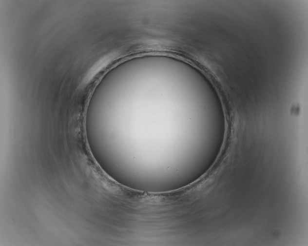 X0000111161211200906301353