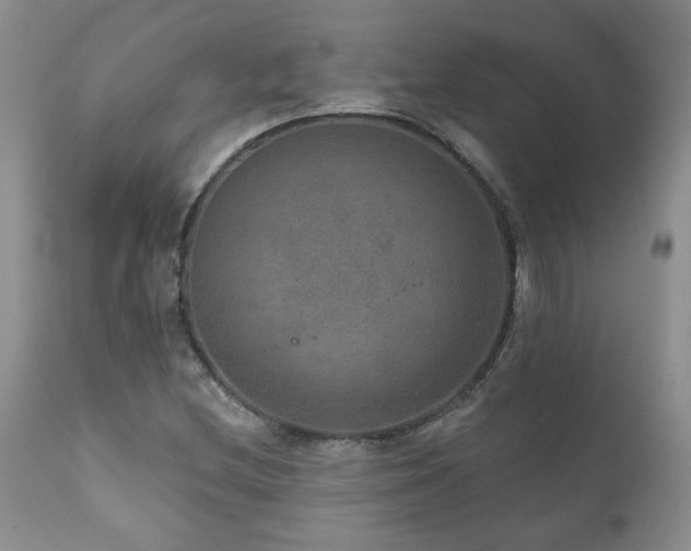 X0000111161212200906301353