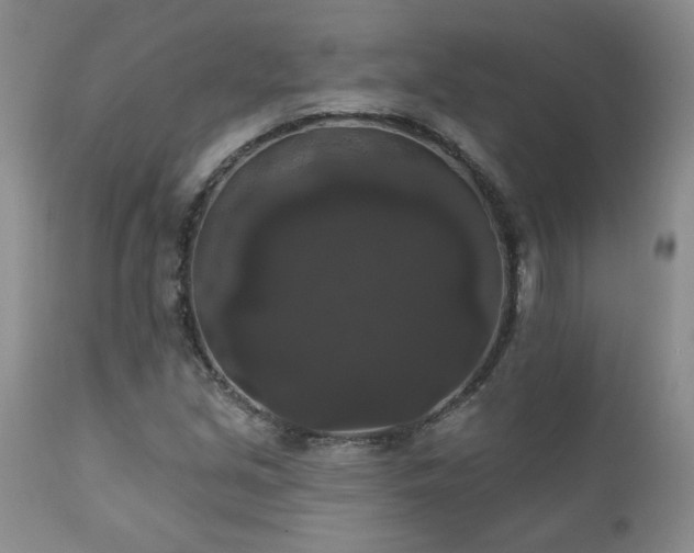 X0000111161213200906301353