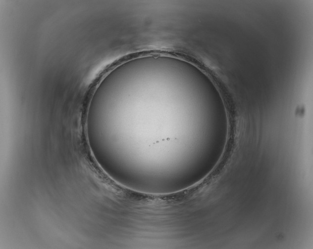 X0000111161214200906301353