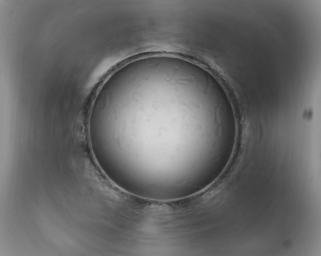 X0000111161215200906301353