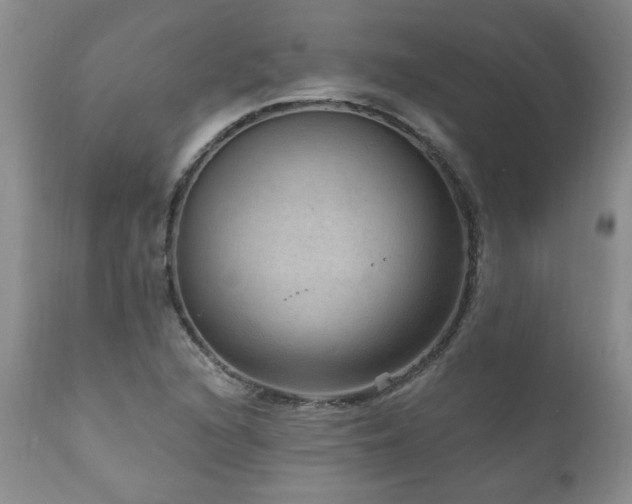 X0000111161216200906301353