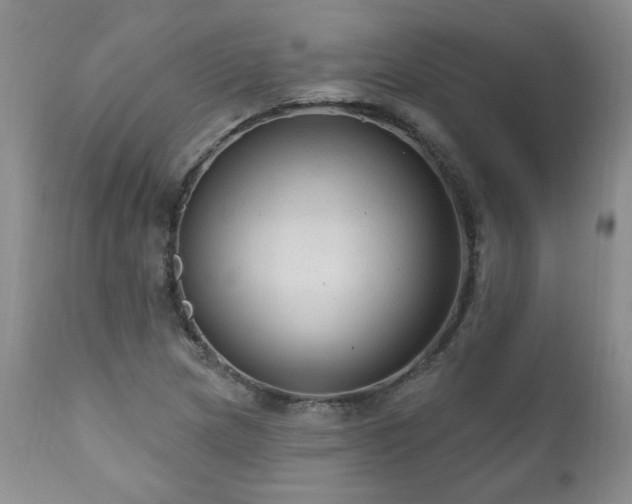 X0000111161217200906301353