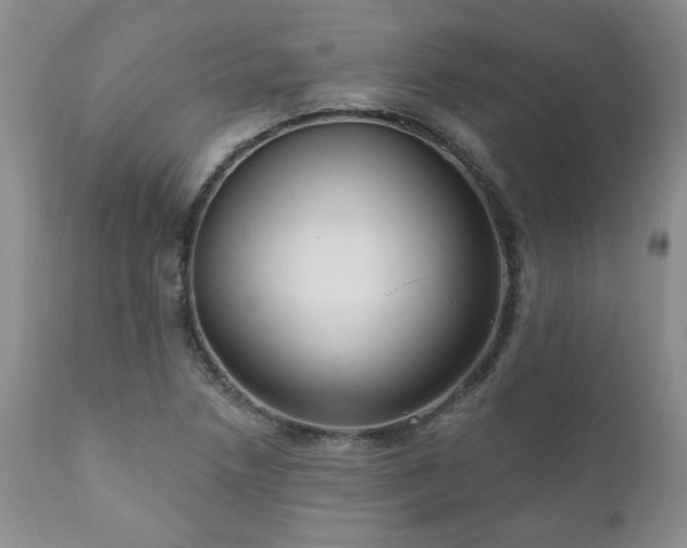 X0000111161218200906301353