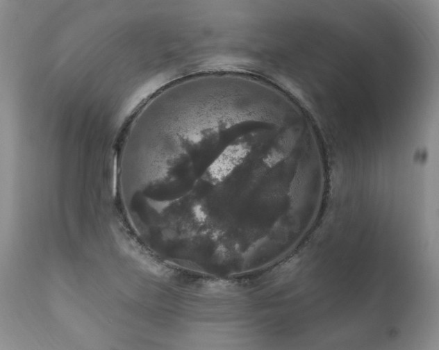 X0000111161219200906301353