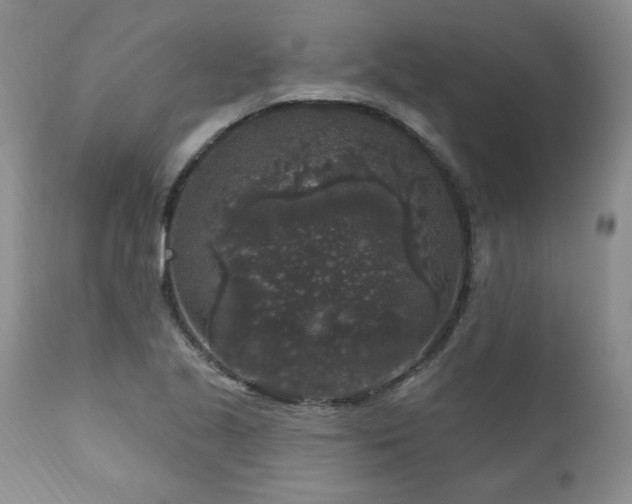 X0000111161221200906301353