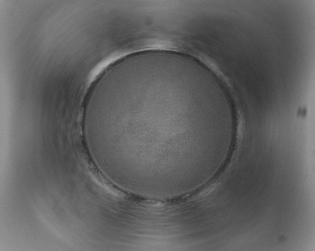 X0000111161222200906301353