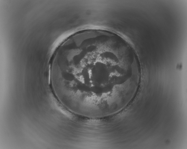 X0000111161223200906301353