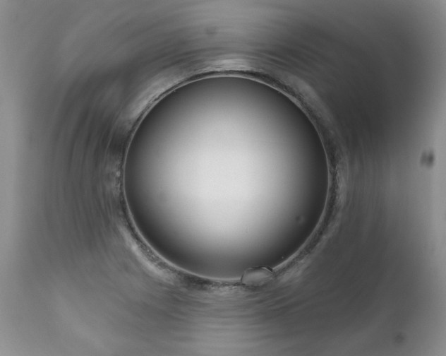 X0000111161225200906301353