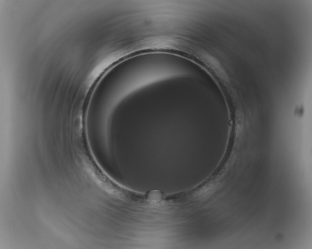 X0000111161226200906301353